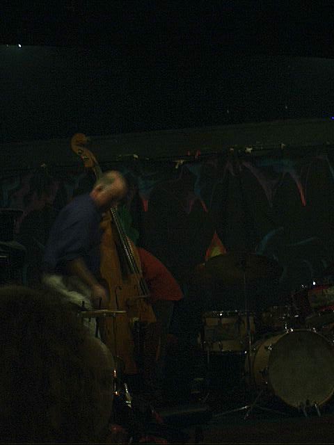 Simon H Fell bowed Double Bass