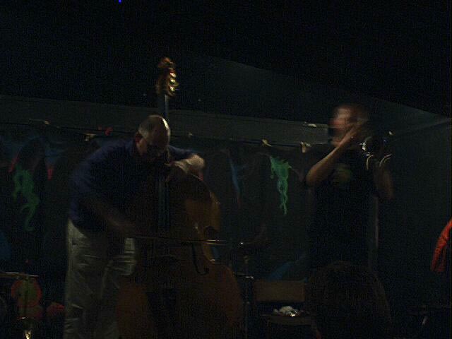 Simon H Fell bowed Double Bass