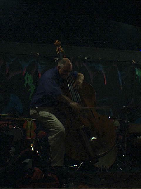 Simon H Fell bowed Double Bass