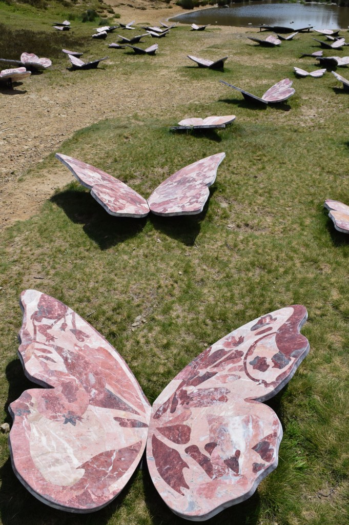 View of several large marble butterflies lying on sandy grassland each having a made of different coloured red and pink marble designs.